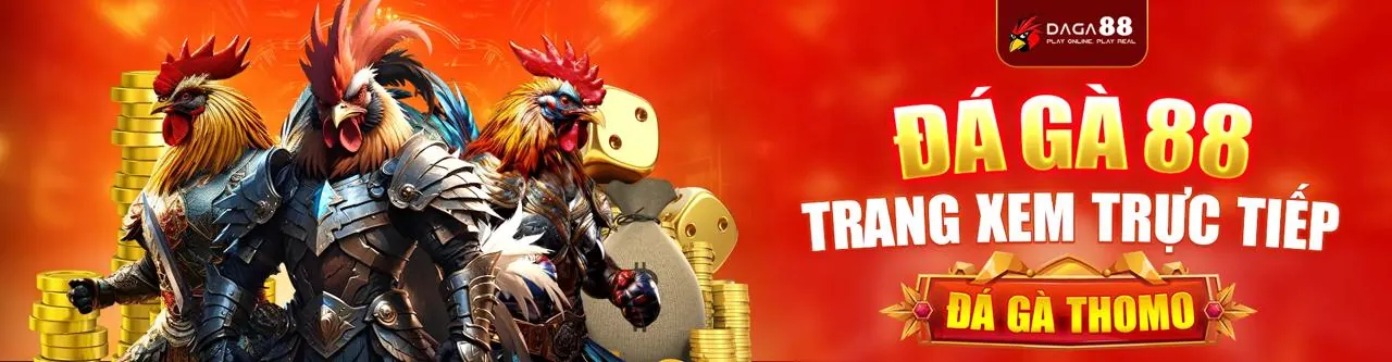 Trận đấu đá gà trực tuyến kịch tính tại bong99 login